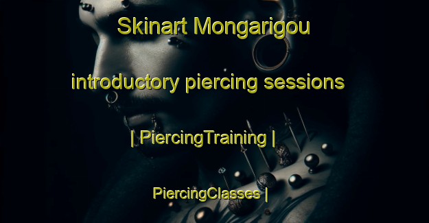 Skinart Mongarigou introductory piercing sessions | PiercingTraining | PiercingClasses | SkinartTraining-France